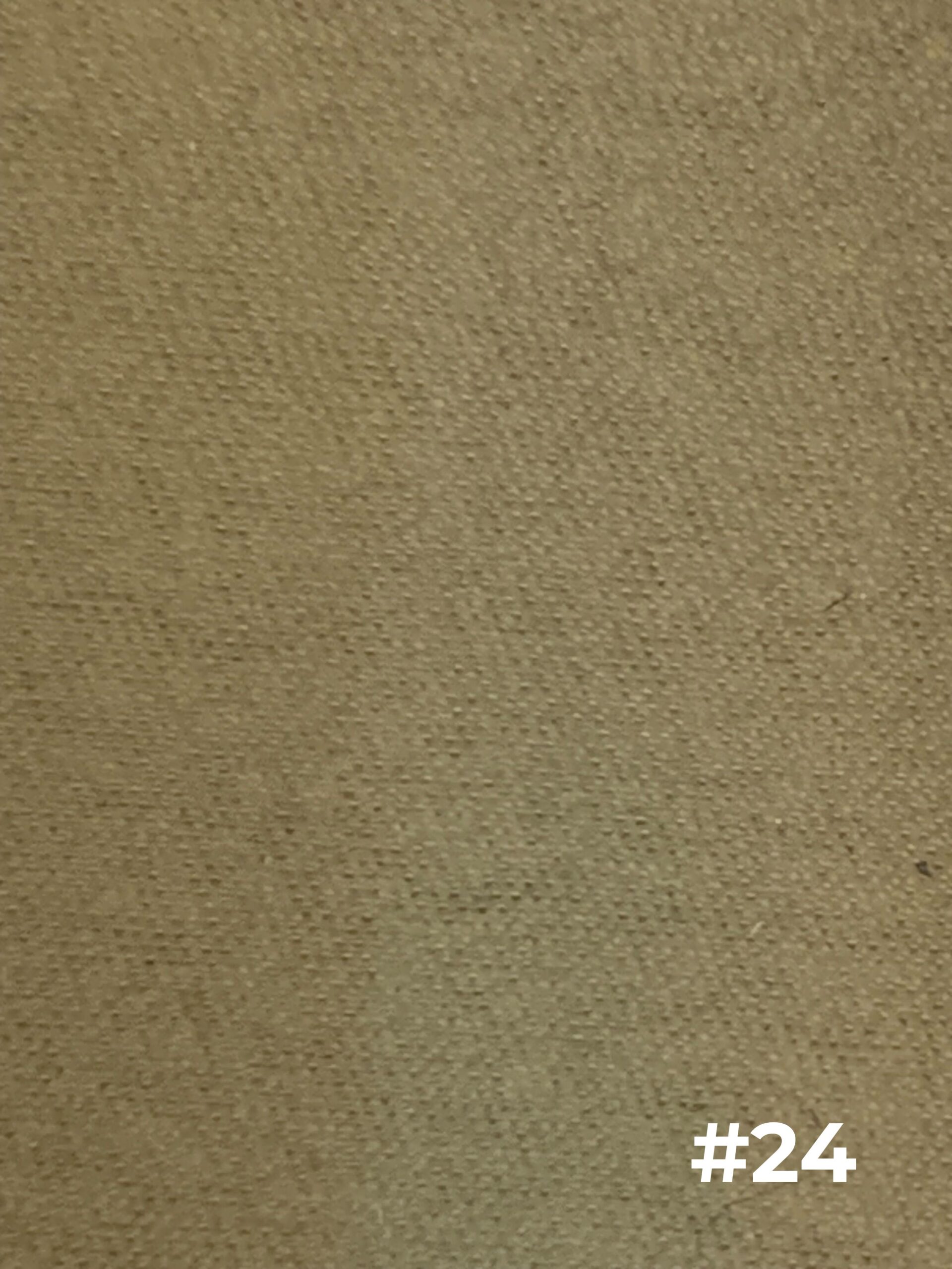 クリンザCDR 色24