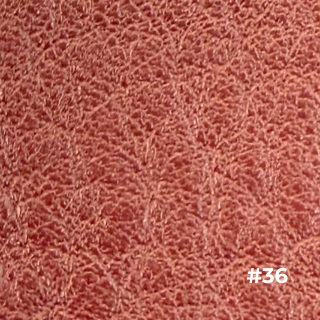 ウィルソン 色27