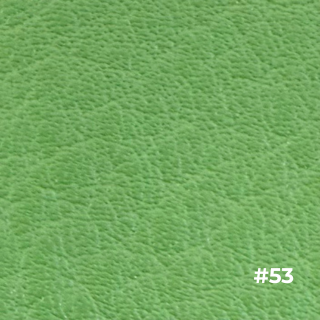 ウィルソン 色81