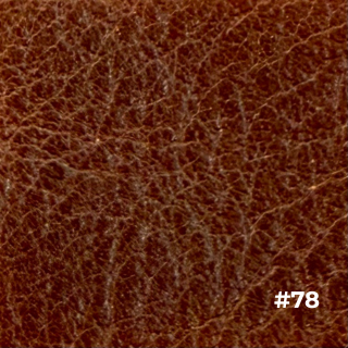 ウィルソン 色81