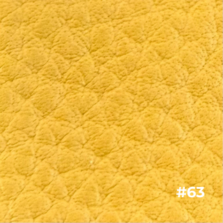 ウィルソン 色81