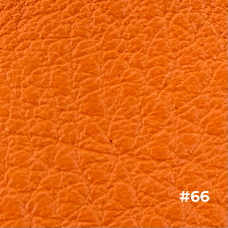 ウィルソン 色81